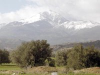 On se prépare au lancement de la campagne de reboisementBejaïa