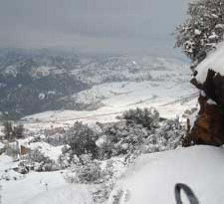 طرق عدة مقطوعة بتيزي وزو والبويرة جراء تساقط الثلوج