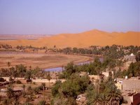 Des mesures incitatives pour encourager les cadres à travailler dans le Sud (Sellal)