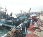 حجز 2200 كلغ من السردين المغربي بعين تموشنت