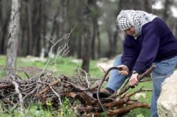 سكان القرى والمداشر بالبويرة يستنجدون بالحطب