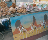 Elle souffre de carences malgré de nombreux atouts