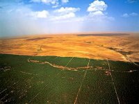 Une étude en cours pour étendre le barrage vert à d'autres espaces (responsable)