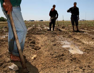 Conférence ministérielle du Dialogue 5+5 à Alger