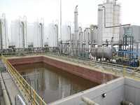 Hocine Necib à Tlemcen