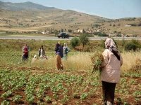 La création d'un observatoire du développement des territoires ruraux au menu d'une rencontre mercredi à Alger
