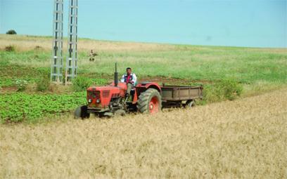 1 188 167 hectares emblavées