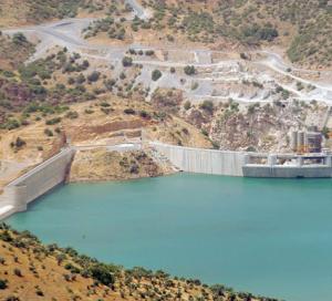 مديرية الري في بجاية تعترف بوجود طحالب تؤثر على لونها ورائحتها                    مياه سد تيشي حاف غير صالحة للشرب