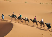 Fêtes de fin d'année