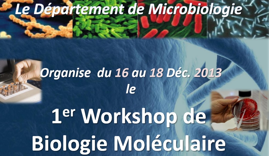 Université Sétif 1