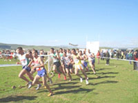 Omnisports/ Athlétisme Challenge national de cross-country