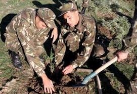 الجيش يدافع عن البيئة بالأغواط