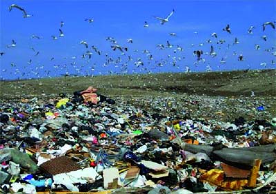 Une décharge publique à ciel ouvert à Sidi Djillali