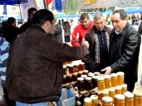 Des vertus thérapeutiques avérées du miel de couleur dorée (apiculteur)
