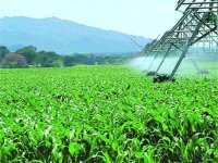 Batna parie sur l’agriculture pour consolider son développement