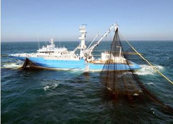 L'Algérie et l'UE renforcent leur partenariat