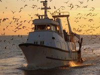 Développement de la pêche artisanale en Méditerranée