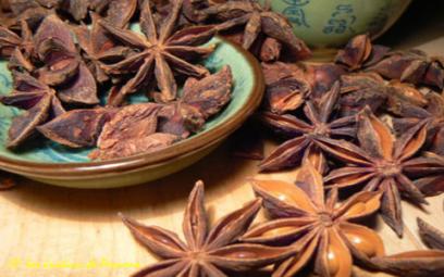 la badiane ou l'anis étoilé