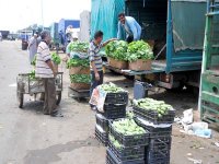 Désorganisation des marchés de gros