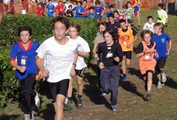 Un riche programme à travers plusieurs wilayas