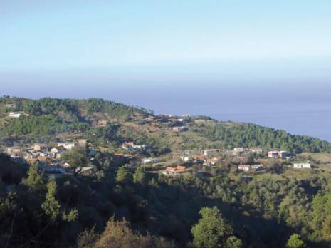 L'arbousier, une richesse à préserver