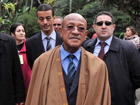 شاهد بالفيديو.. 