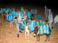 2013, l'année de la lutte implacable contre le trafic du carburant dans la wilaya de Tlemcen