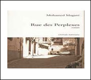 Lecture/ «La rue des perplexes» de Mohamed Magani
