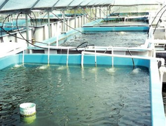 Pêche et aquaculture