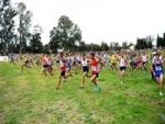 Challenge national de cross-country