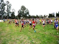Challenge national de cross-country