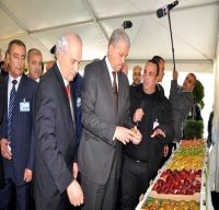 Visite de Abdelmalek Sellal à Blida