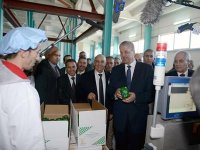 Plusieurs projets inspectés