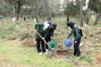 Convention de partenariat SMA-Conservation des forêts