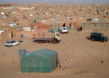 100 مليون دينار لإنجاز مشاريع تنموية ببلدية تندوف