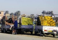 Les riverains sollicitent le retour de l'informel