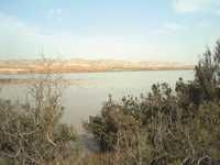 Le lac d'Oum El-Ghellaz à Oued Tlélat (Oran)