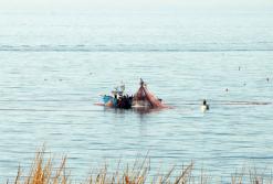 مديرية الصيد البحري بالعاصمة تحصي 52 تجاوزا عبر 3 موانئ في ظرف سنة