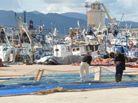 تسجيل أكثر من 50 مخالفة في موانئ الصيد بالعاصمة خلال 2013