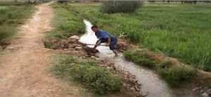 وحدة الشلف السفلى تحتل المرتبة الأولى وطنيا