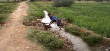 وحدة الشلف السفلى تحتل المرتبة الأولى وطنيا