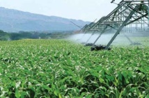 SECTEUR DE L'AGRICULTURE