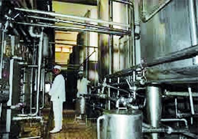 Le groupe Soummam et Lactalis cèdent leurs actions à la Sarl Célia Algérie