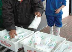 ندرة حادة في الحليب مع رداءة النوعية الموزعة بأم البواقي