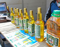 Béjaïa / Foire de l'olive