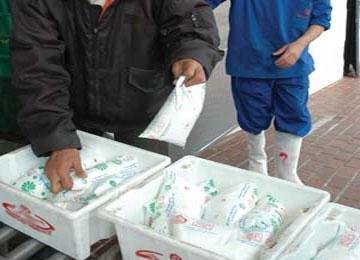 ندرة حادة في الحليب مع رداءة النوعية الموزعة بأم البواقي