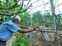 comment devenir grand '