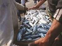 Des formations leur seront dispensées