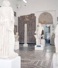 Une experte américaine salue les efforts de l'Etat algérien