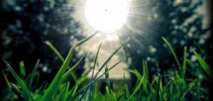 شكوى لصاحب الدعاء